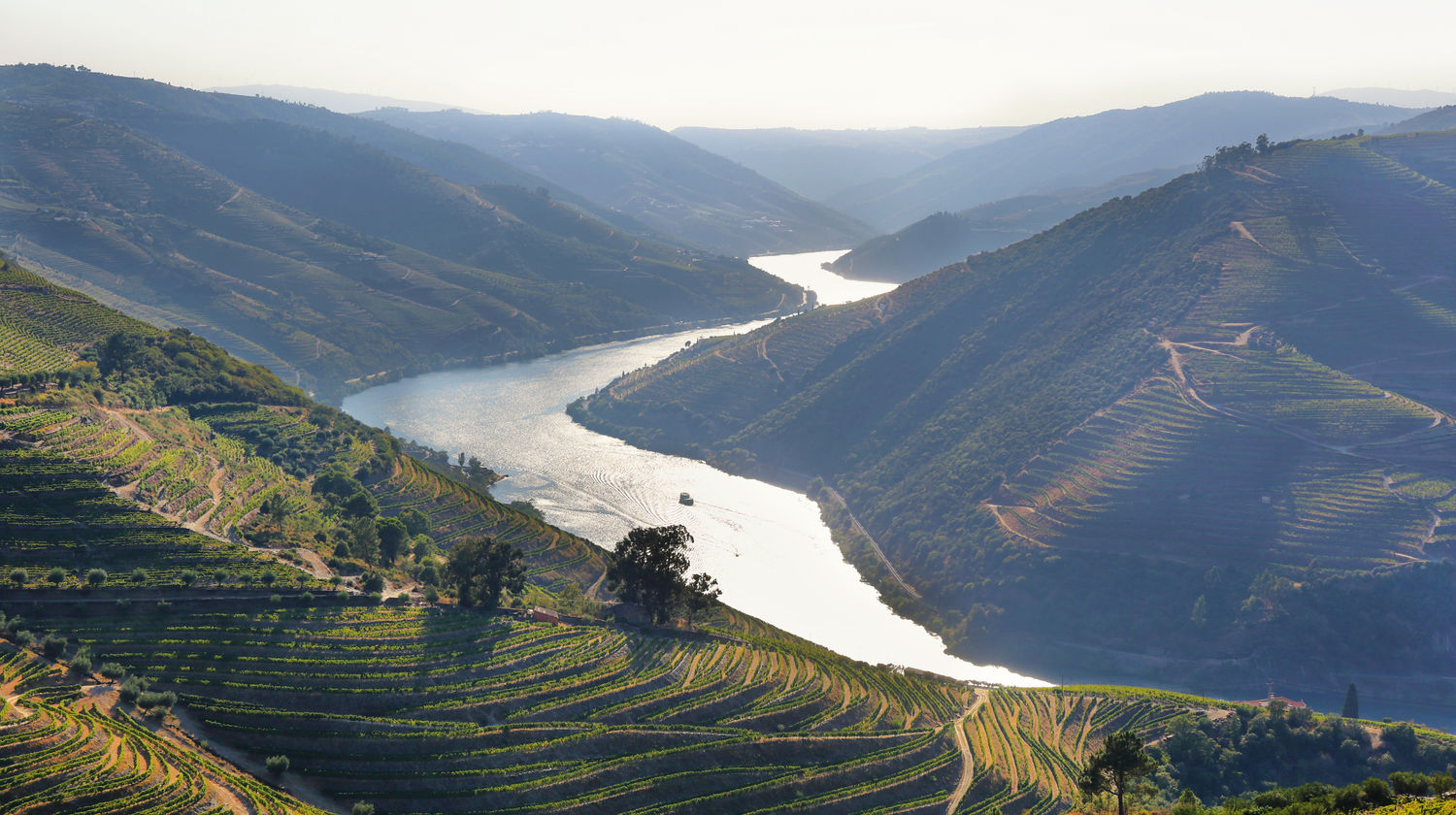 Monday: <b>Douro Valley, Vineyards, Cruise & Winery Lunch (Included)</b>