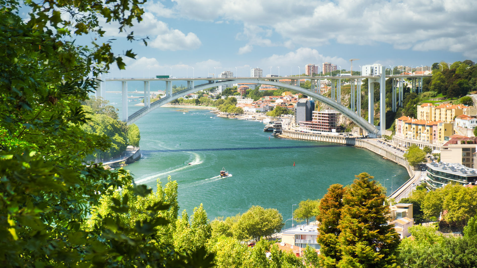 Arrábida Bridge, Porto