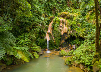 azores tourism