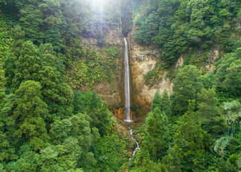 azores tourism