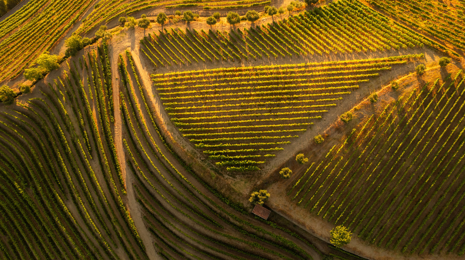 Douro Valley