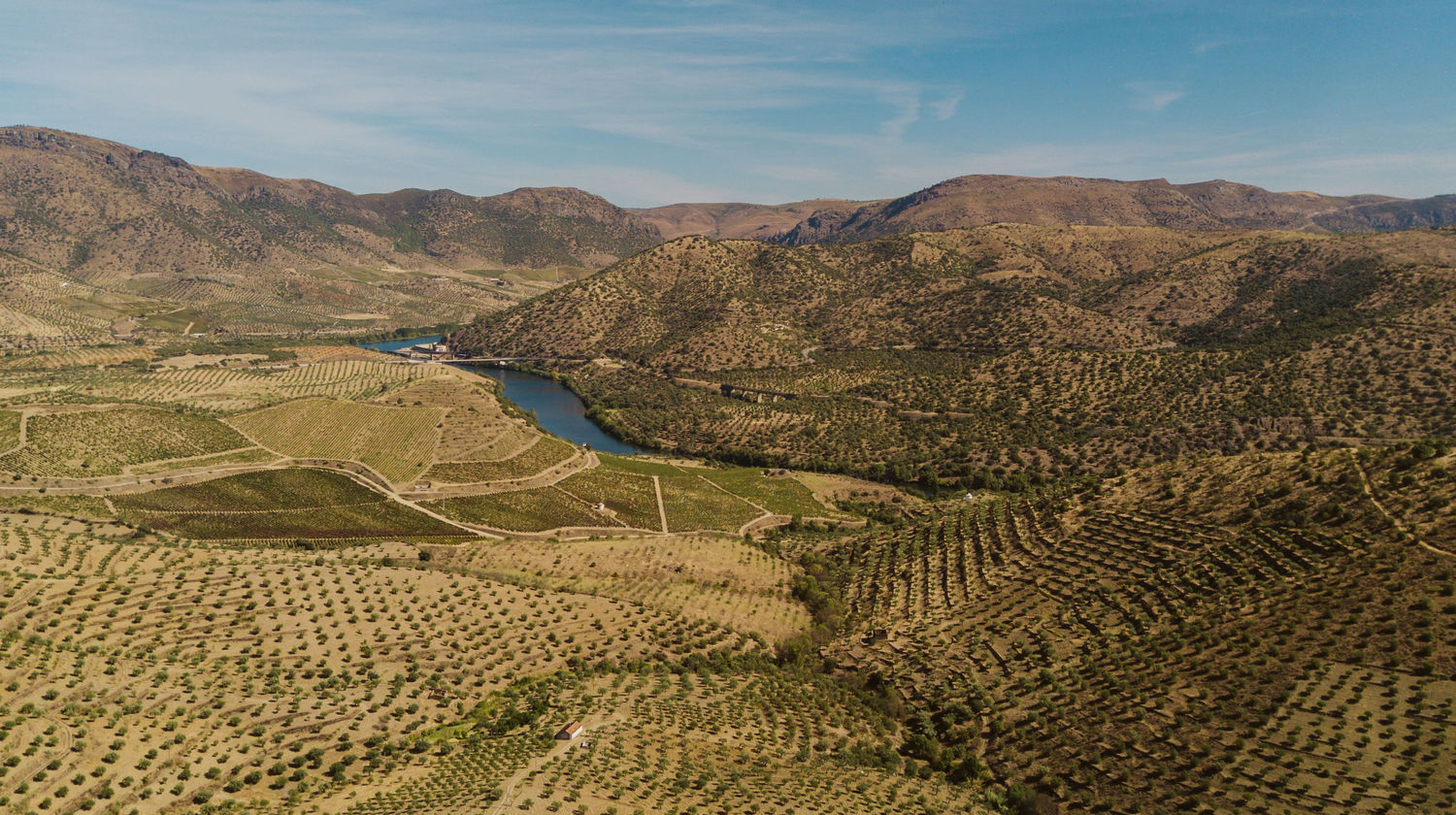 Drive to Douro Valley (1h30)