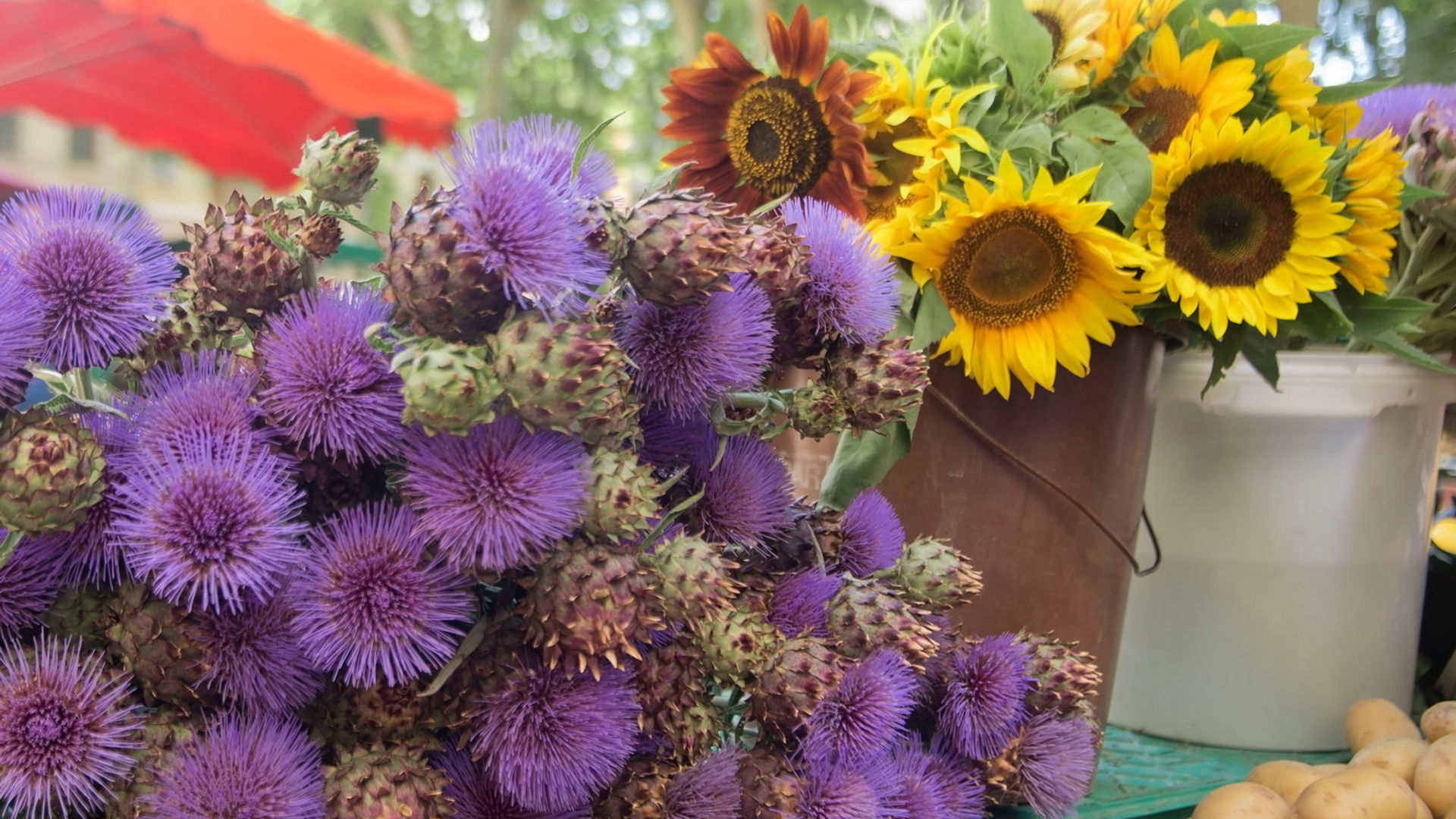 Market in Aix en Provence