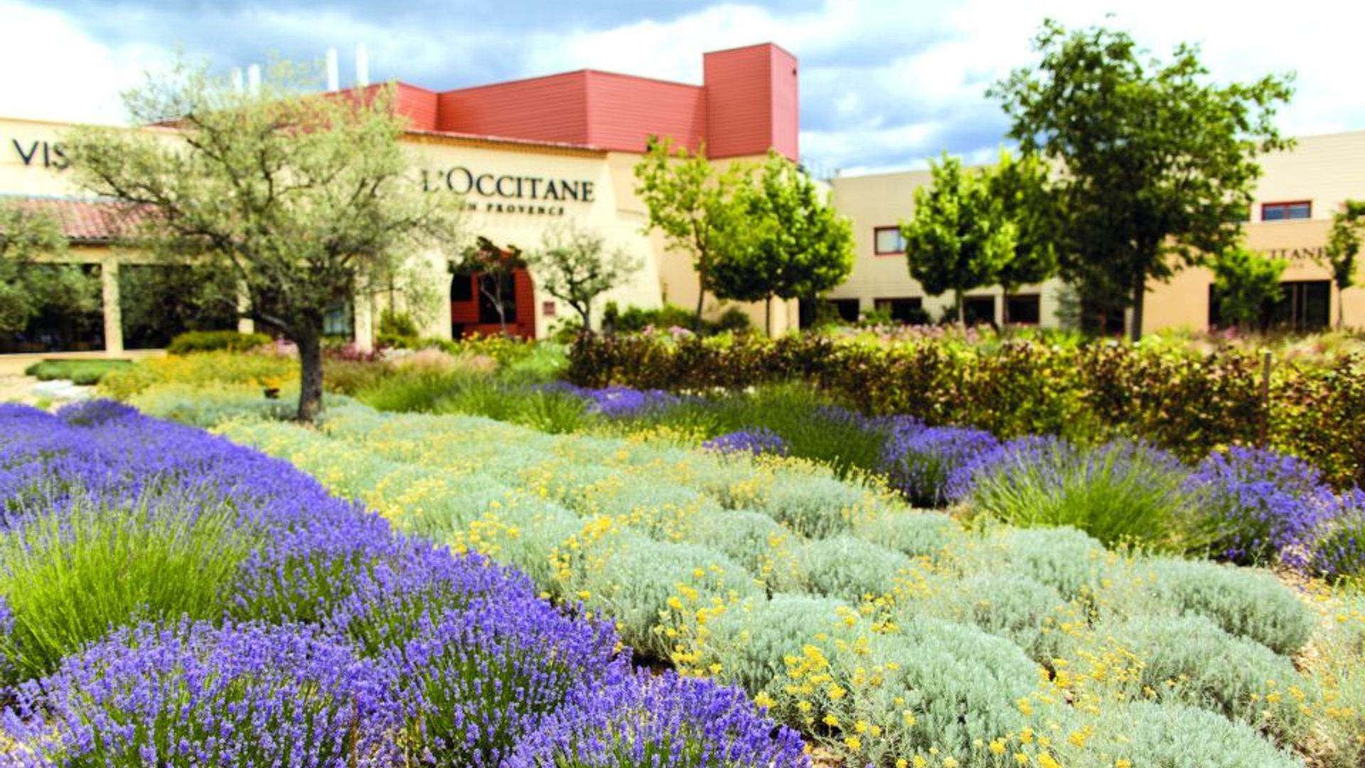L'Occitane Production (Optional visit)