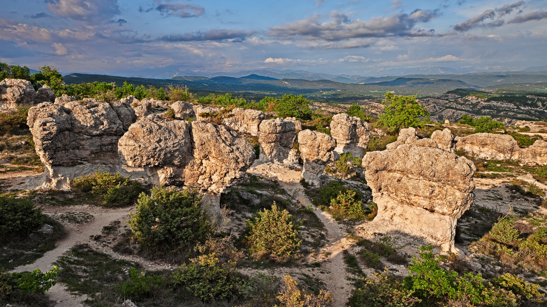Forcalquier (Optional Visit)