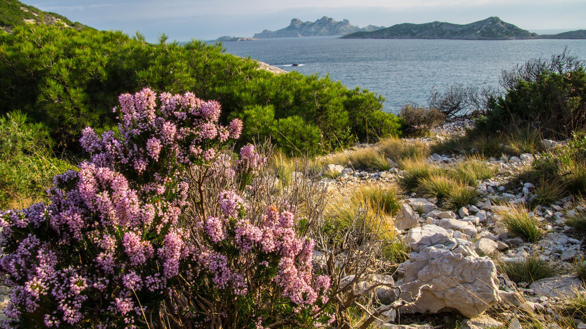 Calanques Natural Park (optional visit)