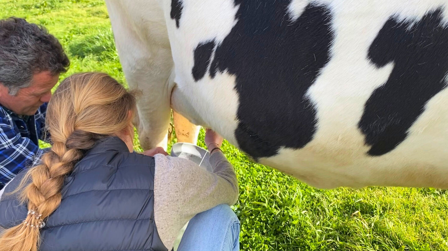 <b>Farm Visit (Included)</b>