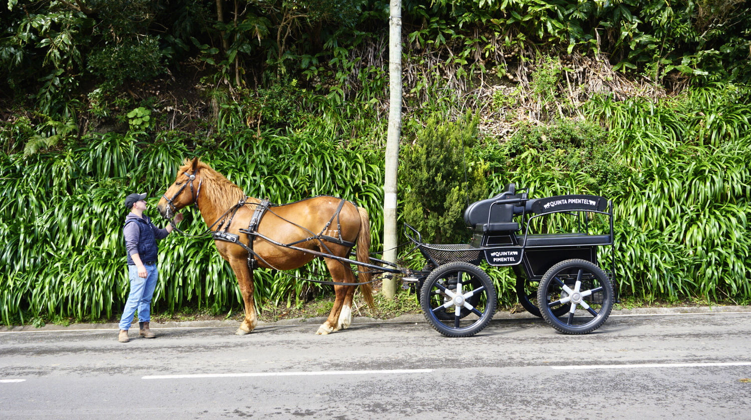 <b>Sunday: Nordeste Farm Tour & Wine Tasting (Included)</b>