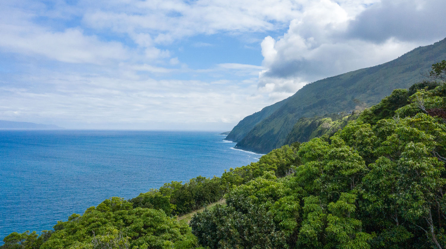 Pico Island