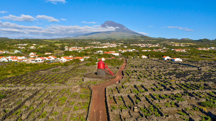 Pico & São Miguel: 11-Day Guided Group Trip Pico & São Miguel: 11-Day Guided Group Trip