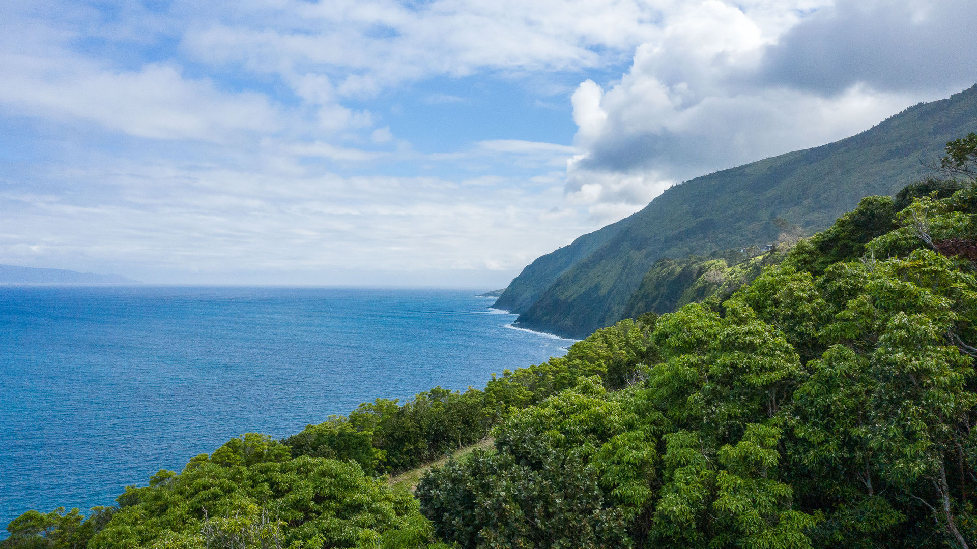 Pico Island