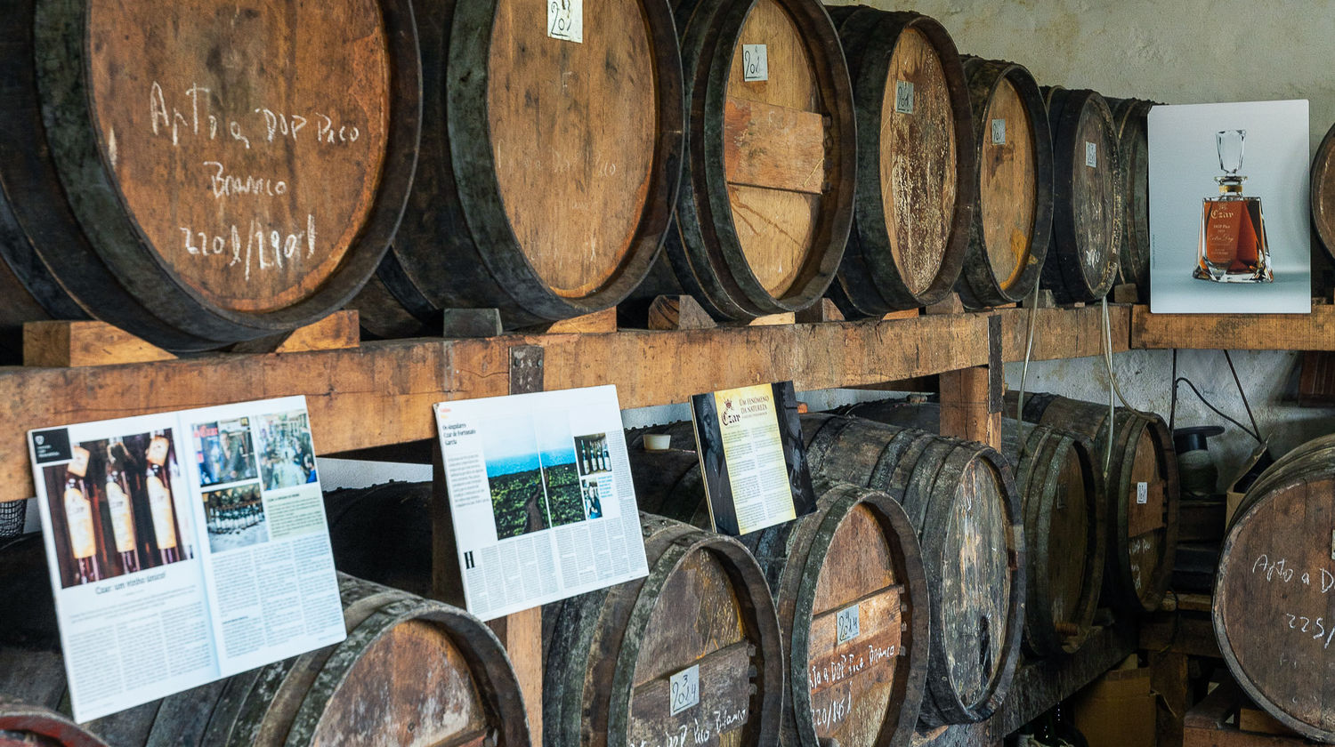 <b>Tuesday: Tapas & Wine Experience with Lunch (Included)</b>