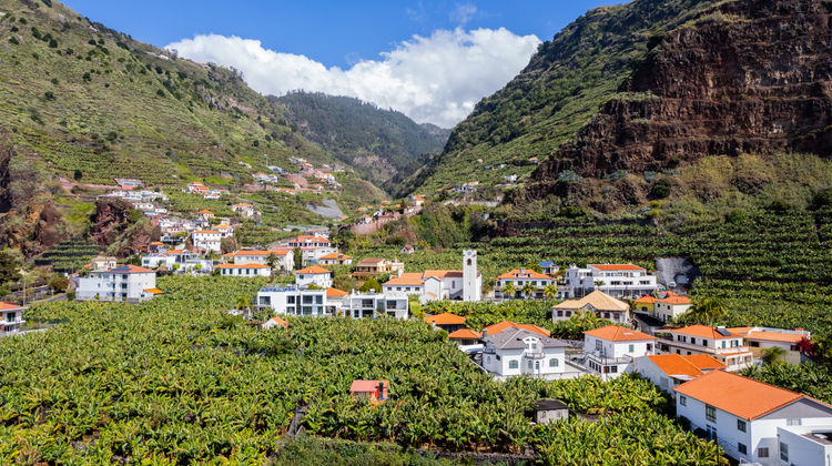 Banana Plantations, Madeira Island