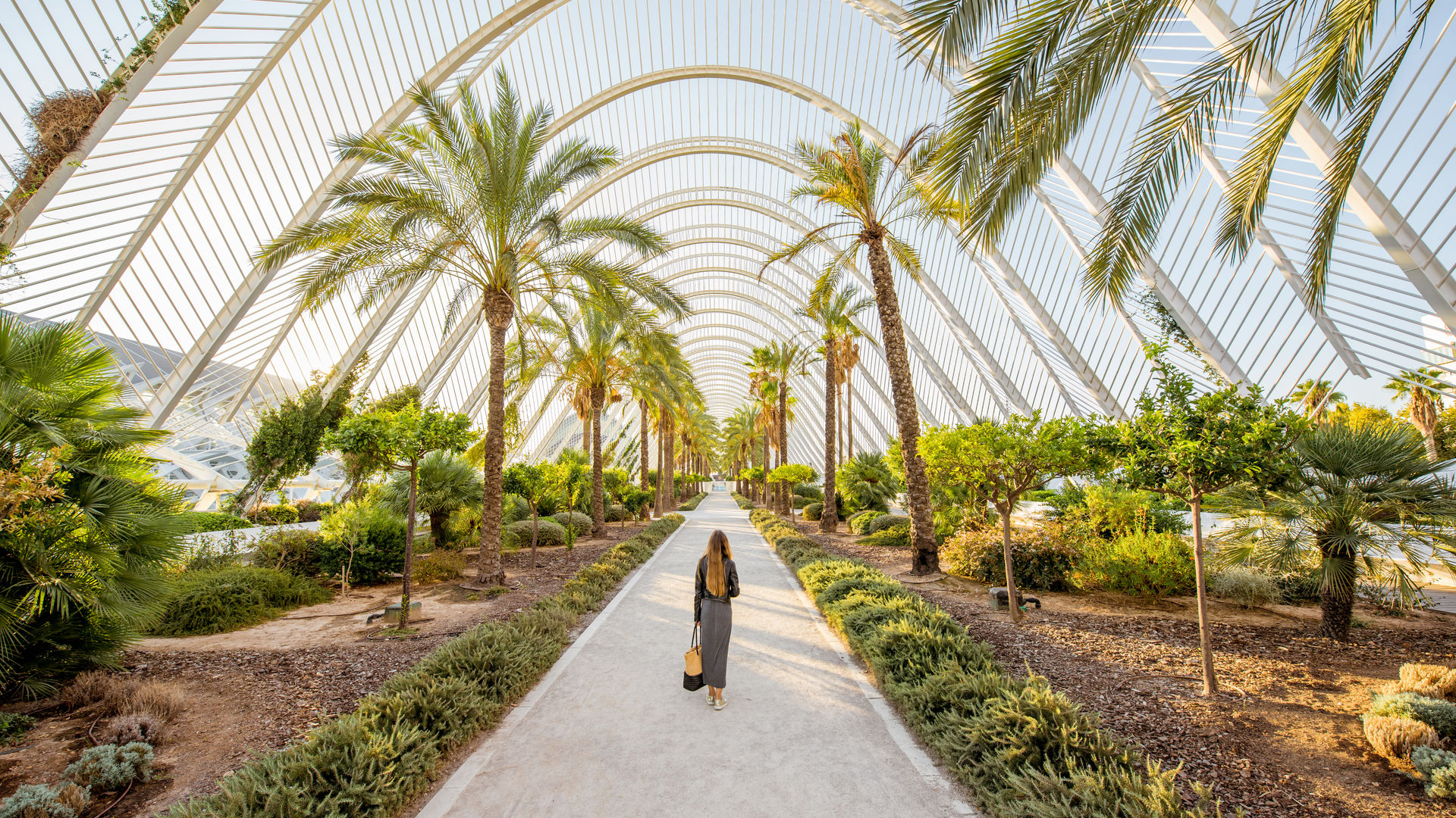 Valencia's Park