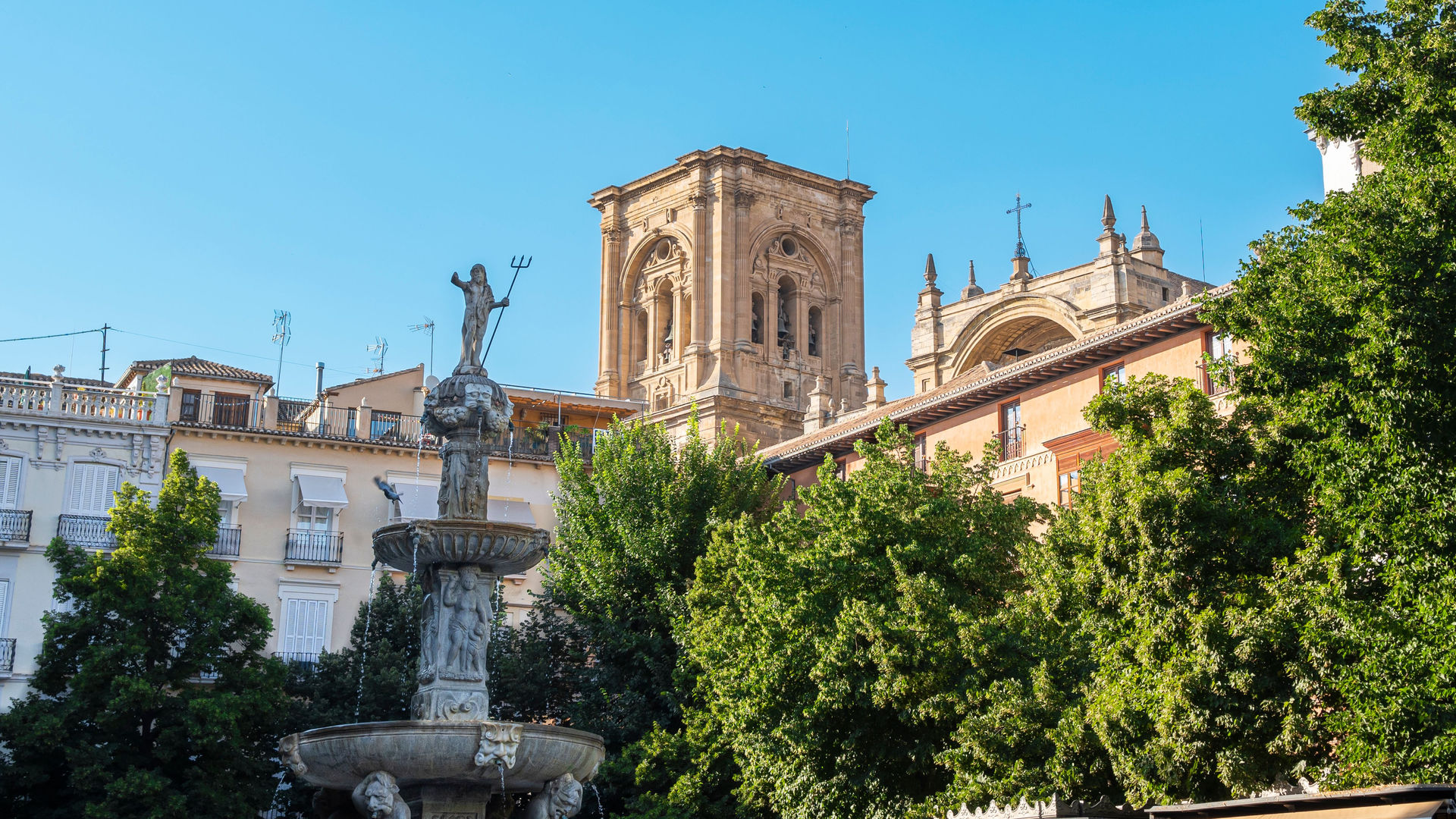 Granada's Cathedral
