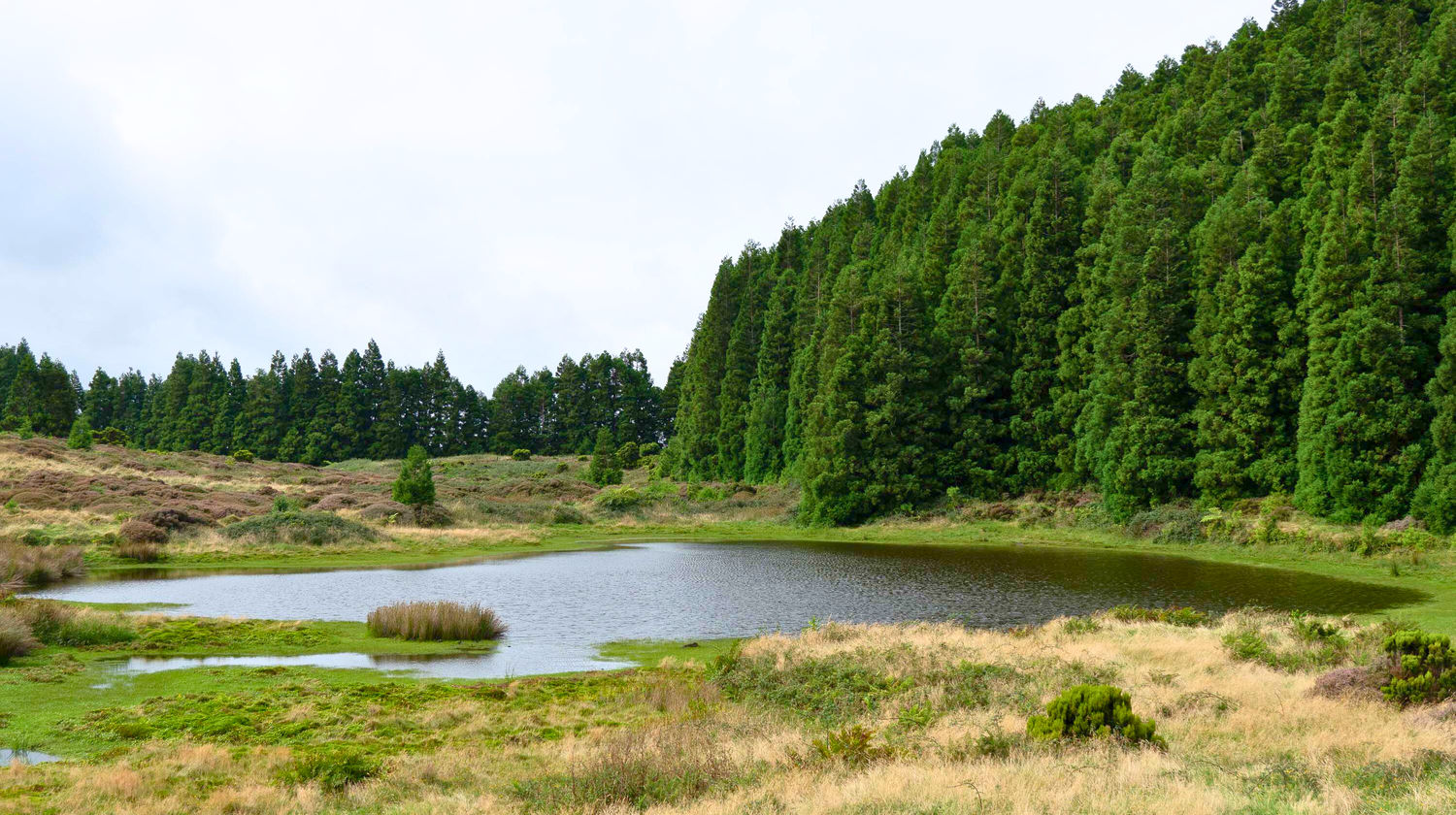 Terceira Island