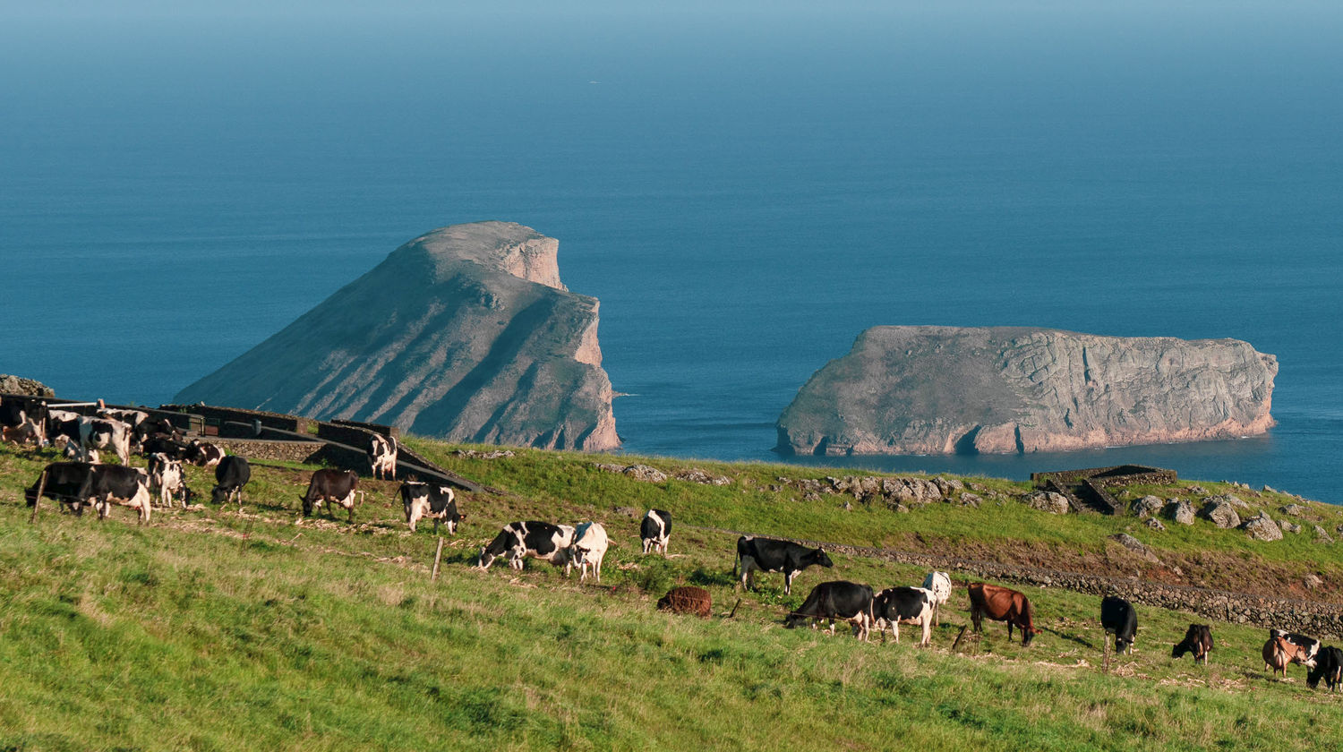 Cabras Islets, Terceira Island