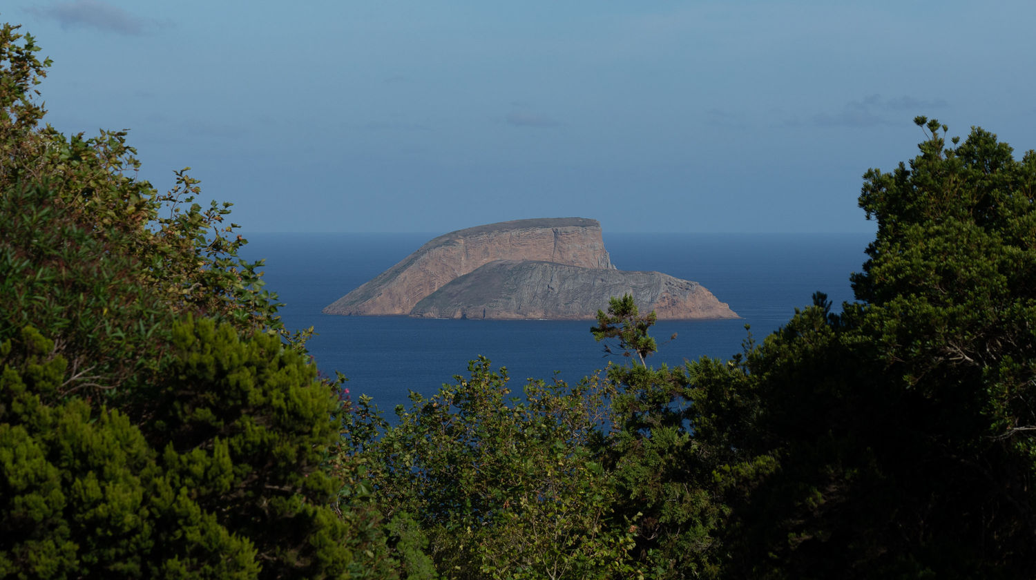 Ilhéu das Cabras