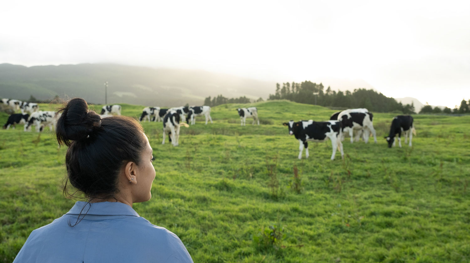 Monday: <b>Dairy Farm Experience (Included)</b>