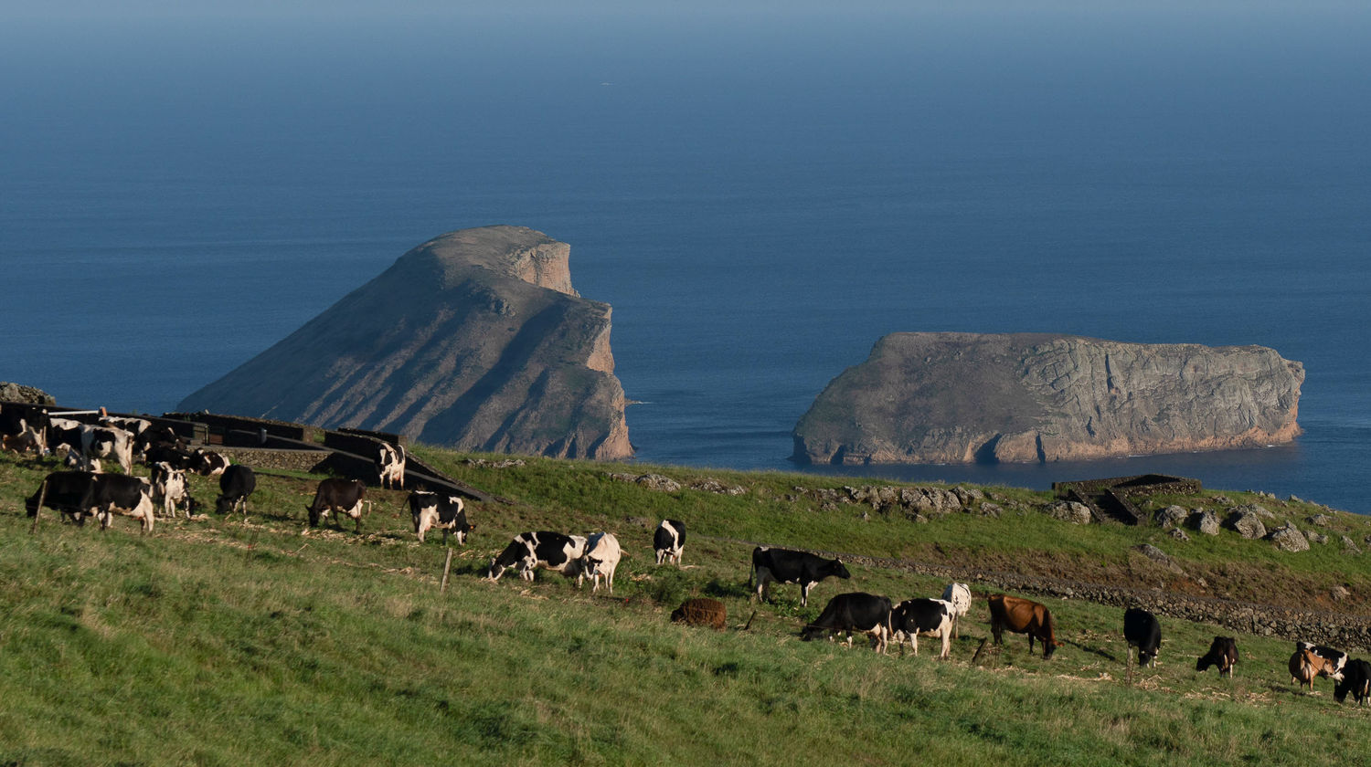 <b>Tuesday: Full-Day Tour Around Terceira with Traditional Lunch (Included) </b>