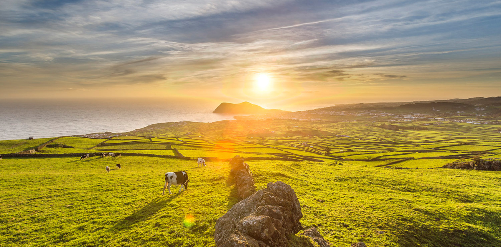 FLEXIBLE The Azores Terceira for Solo Travelers