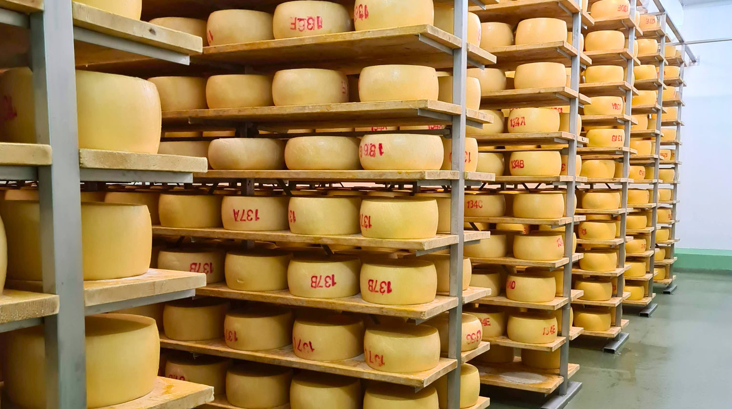 Friday: <b>Half-Day Morning Cheese Experience (Included)</b>