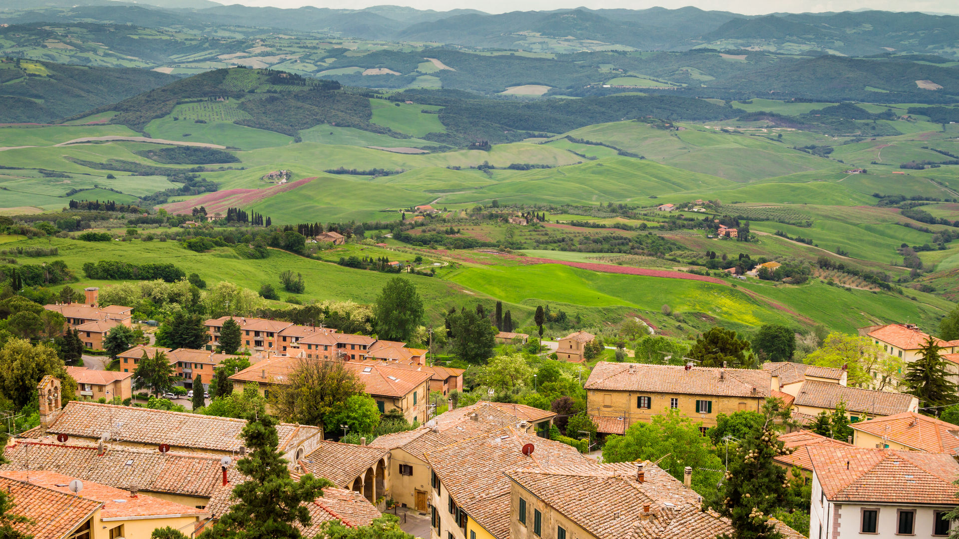 Volterra