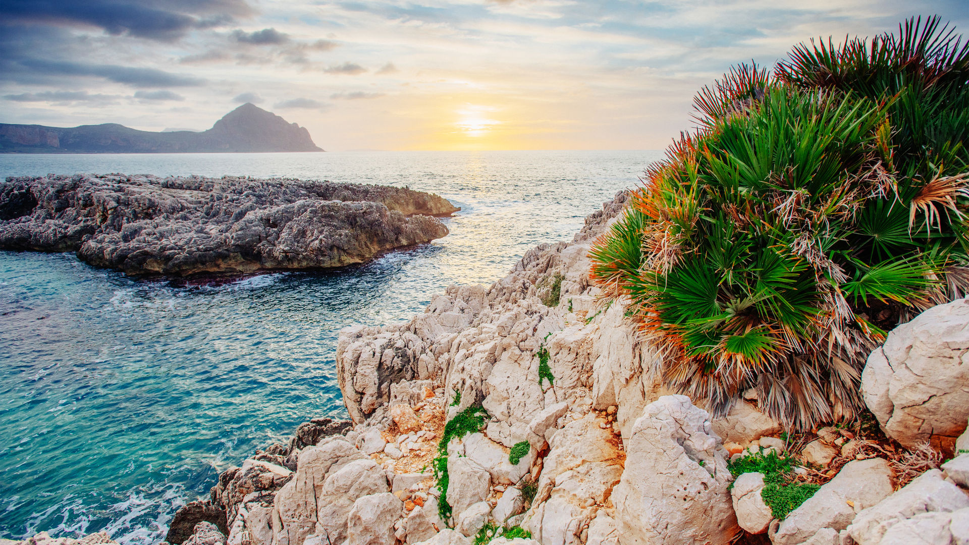 Trapani