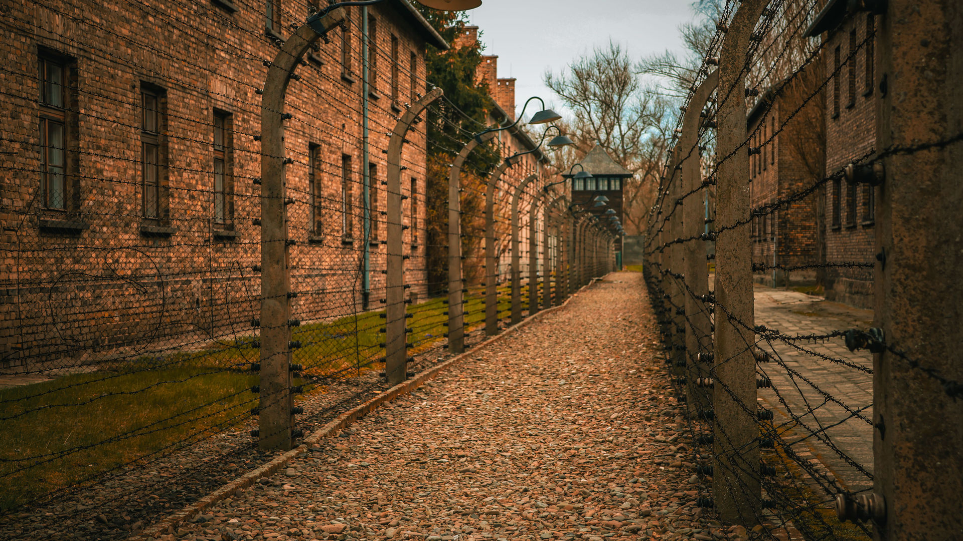 Auschwitz-Birkenau