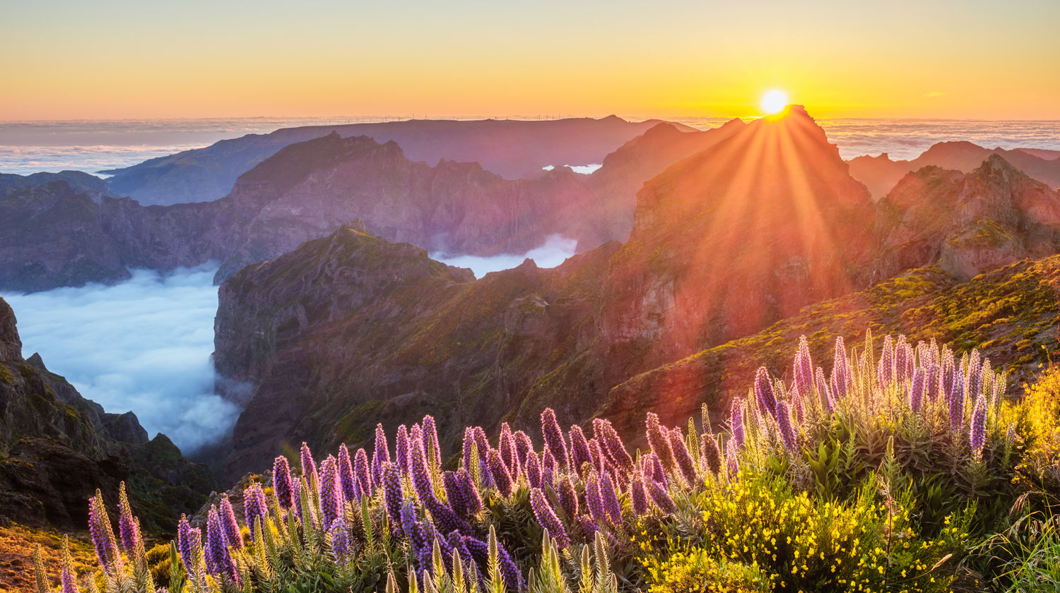 Pico do Arieiro, Madeira Island