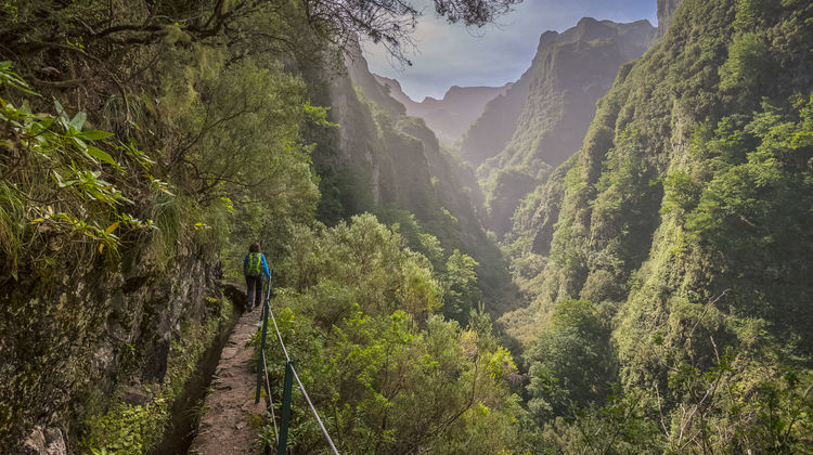 Madeira Island