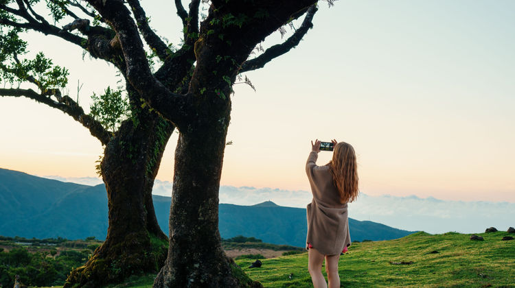 Explore the fairytale-like Fanal Forest in the heart of Madeira’s UNESCO-listed laurel woods.