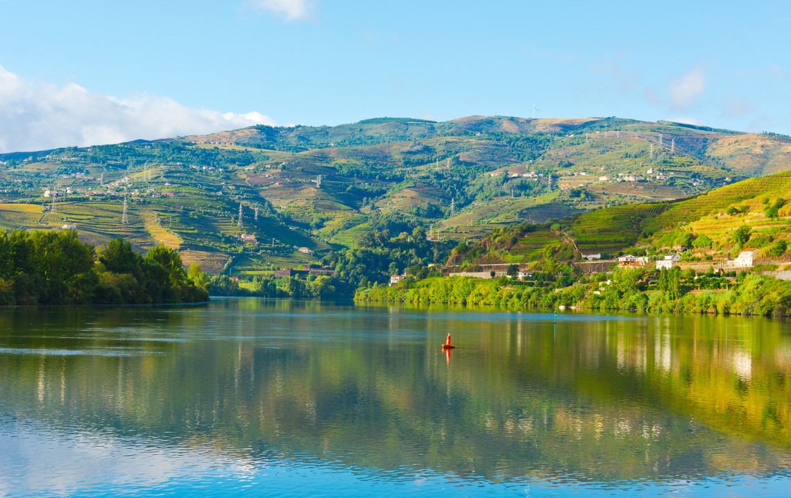 Douro Valley in Porto, Portugal