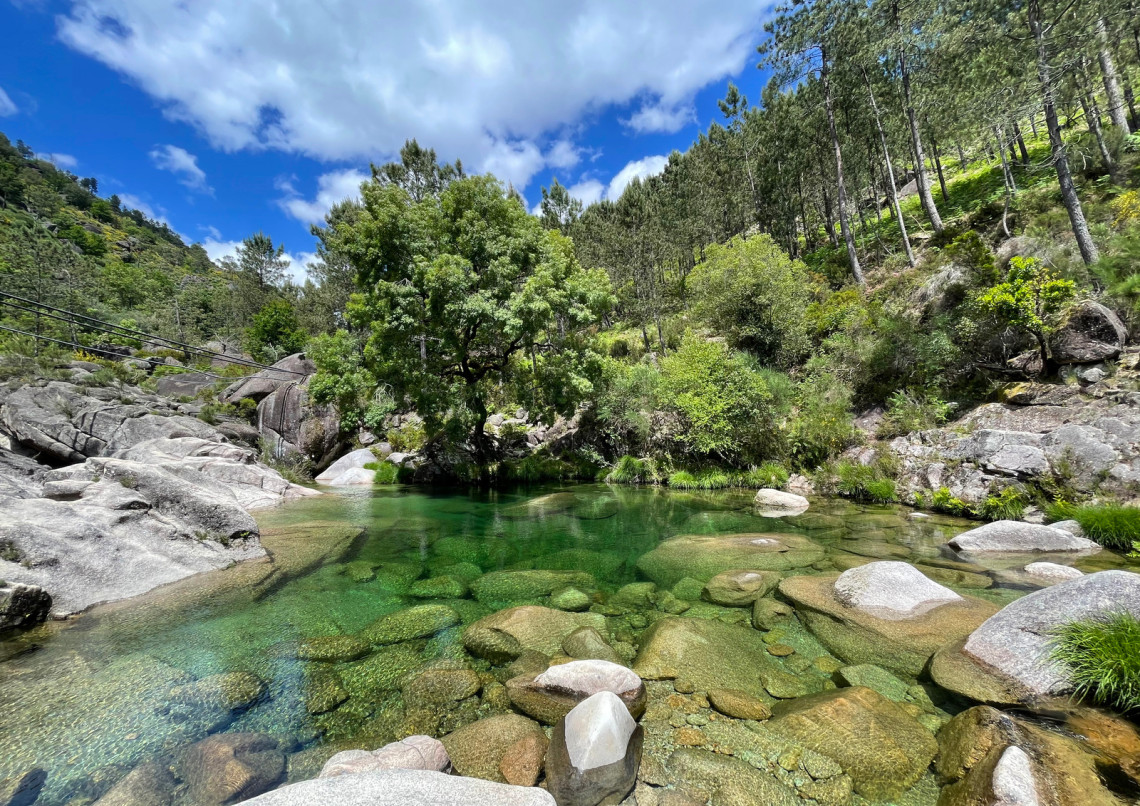 Mata da Albergaria do Parque Nacional da Peneda Gerês parque-nacional-da-peneda-gerês-turismo-eco-ecoturismo-mata-da-albergaria-lisboa-portugal