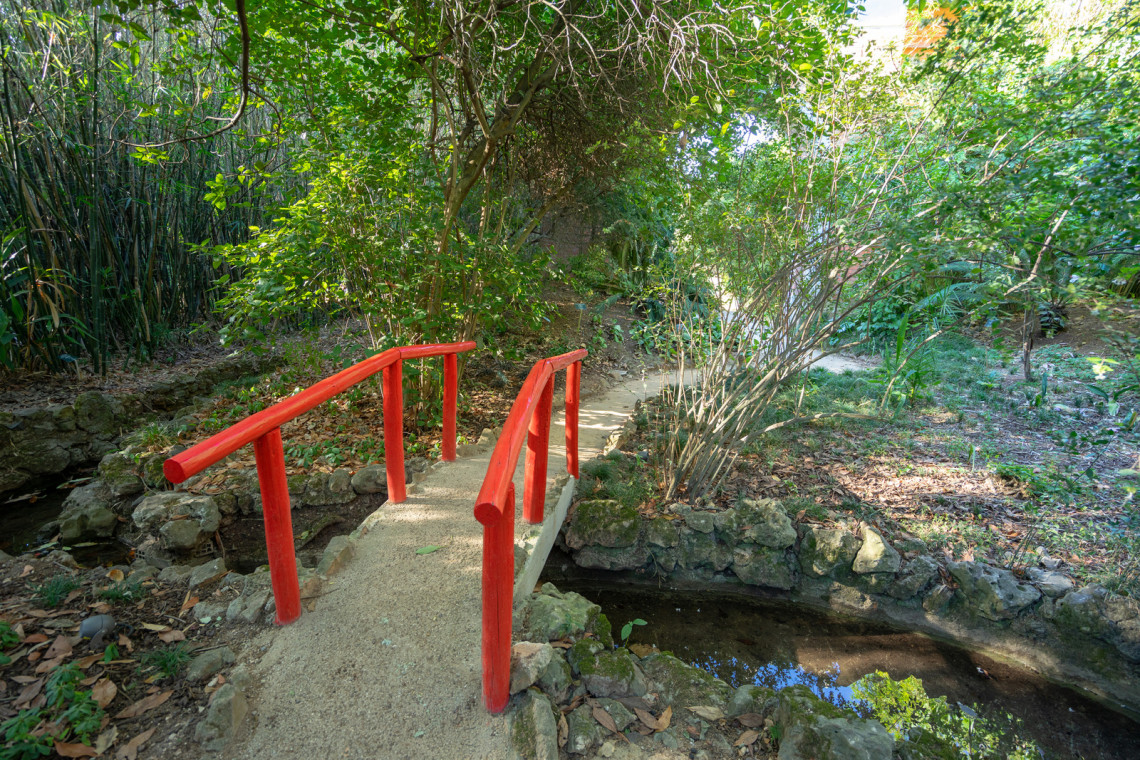 Jardim Nacional Botânico de Lisboa, Portugal jardim-nacional-botanico-de-lisboa-ecoturismo-eco-turismo-portugal