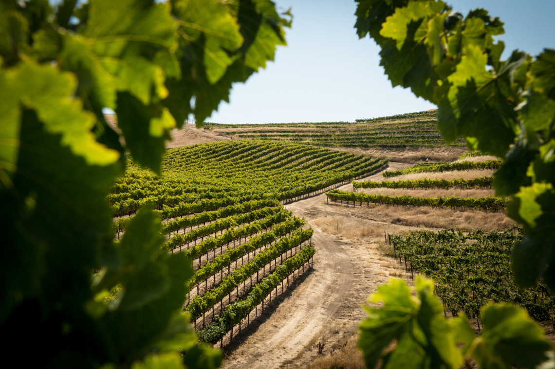 Vinhas do Douro, Portugal vinhas-do-douro-quintas-vínicolas-região-vinho-lisboa-portugal