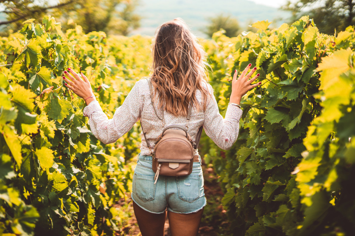 Enoturismo nas Vinhas de Portugal vinhas-lourinhã-vinho-português-quinta-turismo-enoturismo-portugal-lisboa