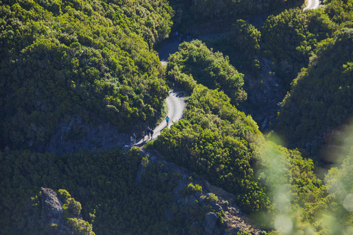 Guided Tours in Madeira Island guided-tours-trails-madeira-island-portugal-nature-tracks-natural-trails