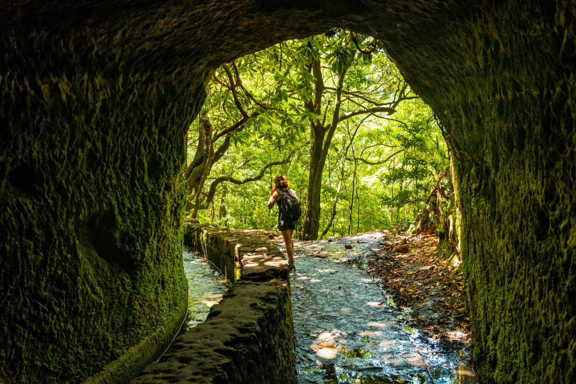 Hiker walking along a levada trail through a tunnel surrounded by lush green forest in Madeira, Portugal.