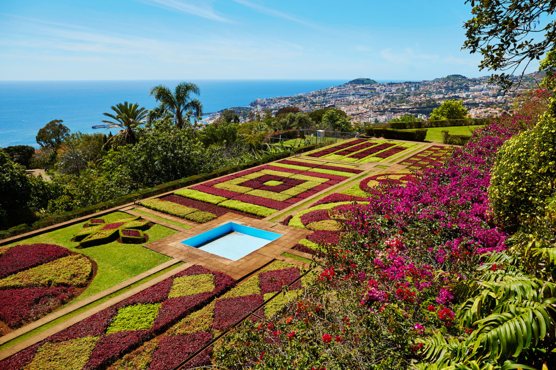Botanical Garden of Madeira lsland With CityScape