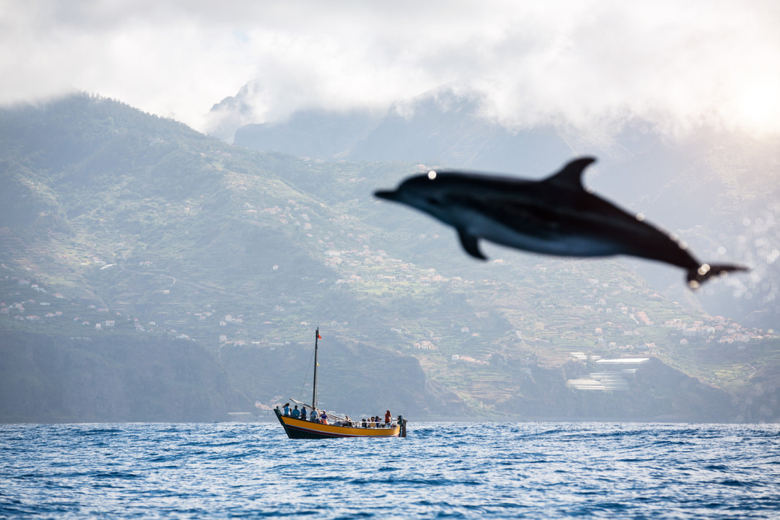 The Ultimate 7-Day Road Trip Itinerary for Exploring Madeira