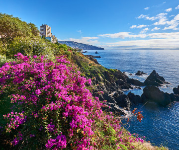 Coastline of Madeira Island, Portugal