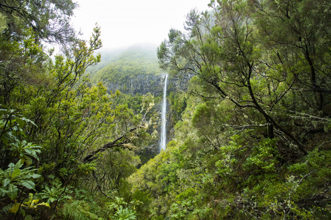 Top Reasons to Why You Should Visit Madeira Island