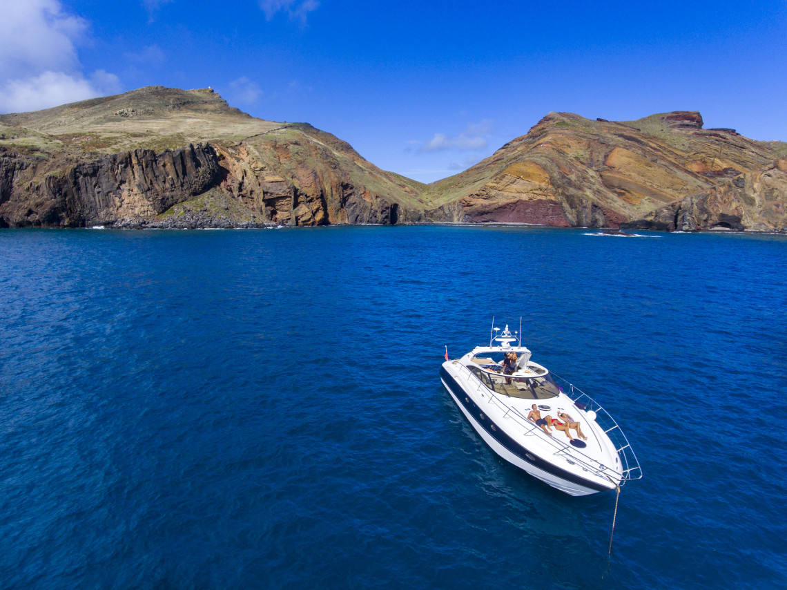 Whale & Dolphin Watching in Madeira, Portugal