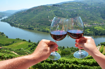 People cheering with port wine with the douro valley in the background