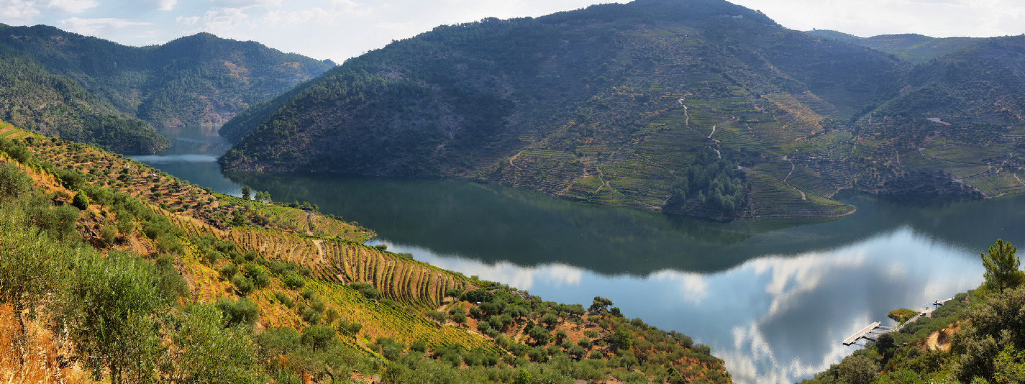 Scenic View of Alto Douro, Portugal scenic-view-of-alto-douro-vinhateiro-portugal-porto-river