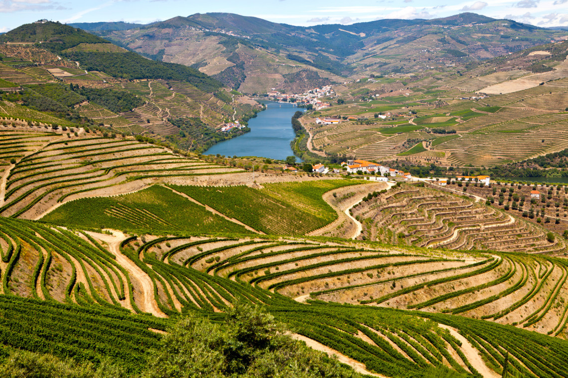 7 Interesting Facts About The Douro Valley Wine Region