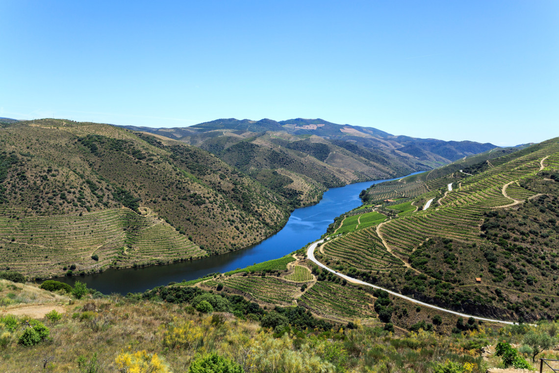 The Douro Valley: Port Wine Region of Portugal