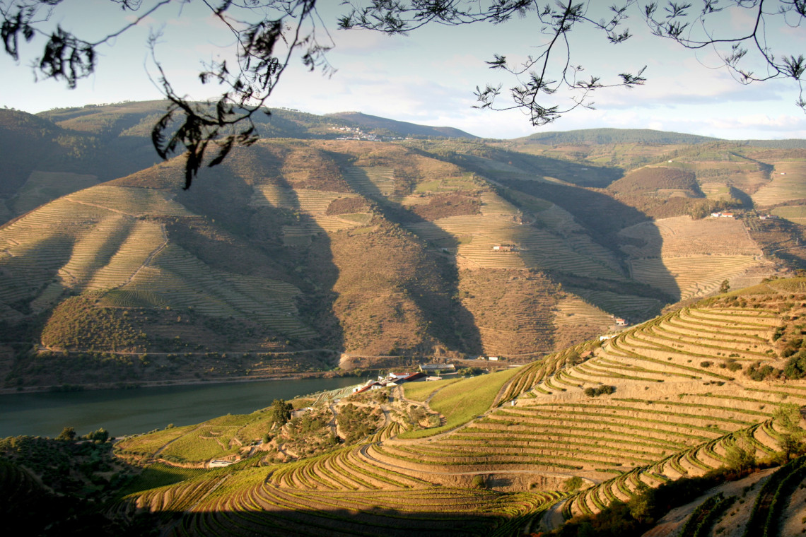 The Douro Valley: Port Wine Region of Portugal