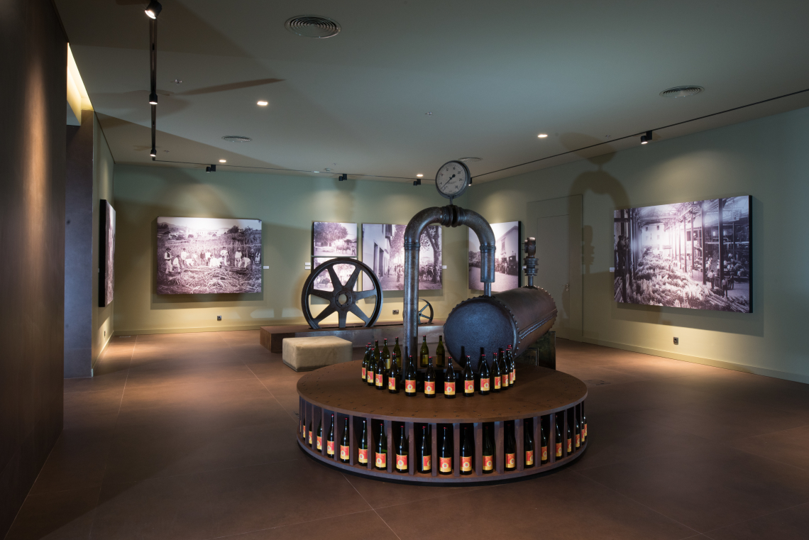 sugarcane-museum-saccharum